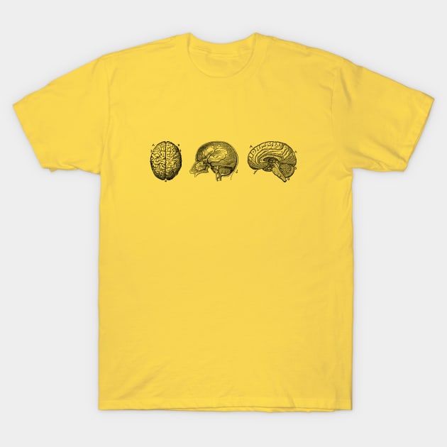 Brain Diagram - Three Views - Vintage Anatomy T-Shirt by Vintage Anatomy Prints